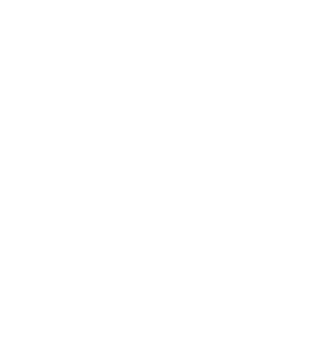 G2